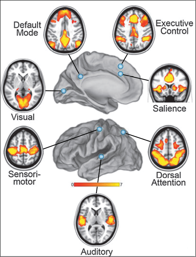 Typical RS functional connectivity networks